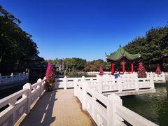 -广东圆玄道观