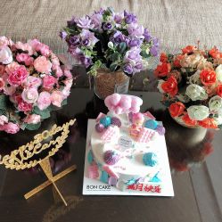 -巍阁高端月子会所