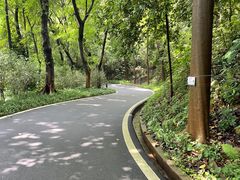 -广州雕塑公园