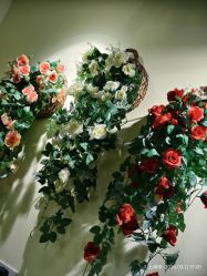 -变美丽半永久纹眉连锁·机器野生眉•洗眉