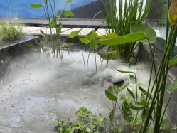 -爱儿美儿童摄影(朝阳公园店)
