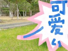 -上海松江区迪笙幼儿园
