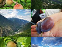 -萝卜寨羌文化生态旅游区
