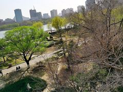 -莲花池公园