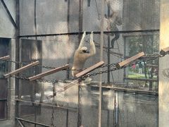 -昆明动物园