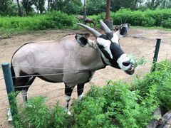 -大连森林动物园