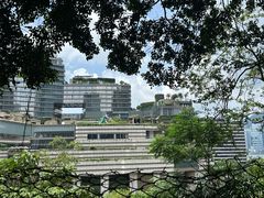 -讯号山花园