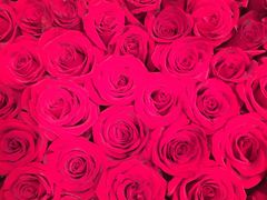 -御花园·粤菜·海鲜火锅(中山公园店)