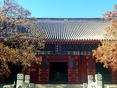 -香山公园