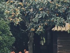 -扬州市茱萸湾风景区