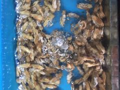 -渔中舟海鲜大排档(普陀沈家门店)