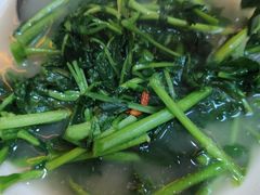 -食德喜·阳山鸡王食研基地