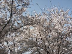 -龙美术馆(西岸馆)