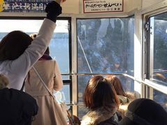 -神户市立六甲山牧场