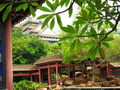 -顺峰山公园