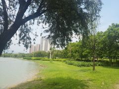 -飞来湖湿地公园