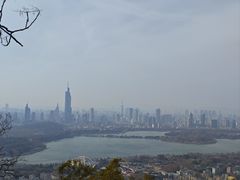 -南京维景国际大酒店(南京博物院店)