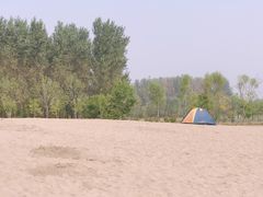 -东郊湿地公园