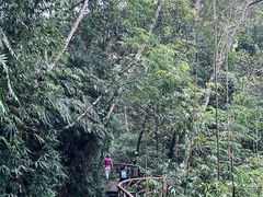 -海南热带雨林国家公园吊罗山景区