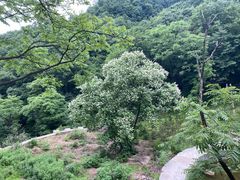 -终南山南五台景区
