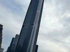 -武汉知音号
