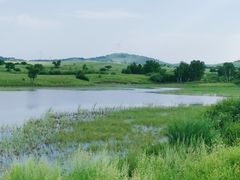 -御道口草原森林风景区