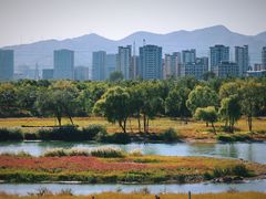 -永定河休闲森林公园