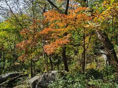 -玉渡山自然风景区