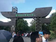 -溱湖国家湿地公园