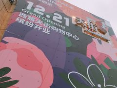 -首开·龙湖成都西宸天街
