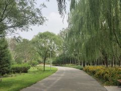 -永定河休闲森林公园