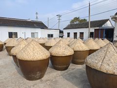 -苏州市吴中区光福窑上花果蜜饯厂