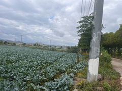 -乔波食品(杜桥中心菜场店)