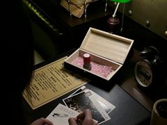 -武汉知音号