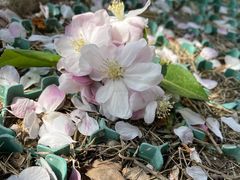 -元大都城垣遗址公园