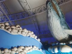 -烟台海昌鲸鲨海洋公园