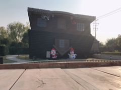 -金山农民画村-枫泾波兰倒置屋