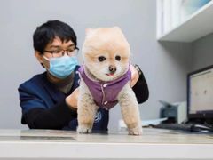 -关爱宠物医院·猫科中心·消化科(滨湖万达分院)