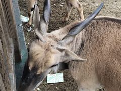 -宁波野生动物园
