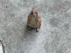 -合肥野生动物园