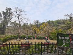 -火炉山森林公园