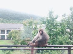 -苏州环秀晓筑养生度假村
