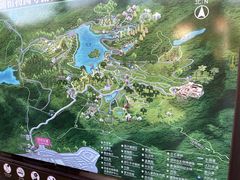 -深圳仙湖植物园