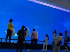 -泉城欧乐堡海洋极地世界