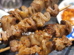 -红岸碳烤齐齐哈尔原味生态烤肉