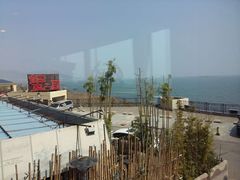 -蟹之国·精品蟹料理(极地店)