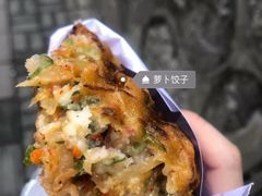 -半月镰胡姐脆皮萝卜饺子
