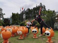 -上海长兴岛郊野公园