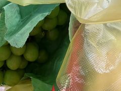 -马陆小张葡萄园农家乐