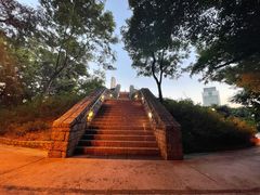 -九龙公园